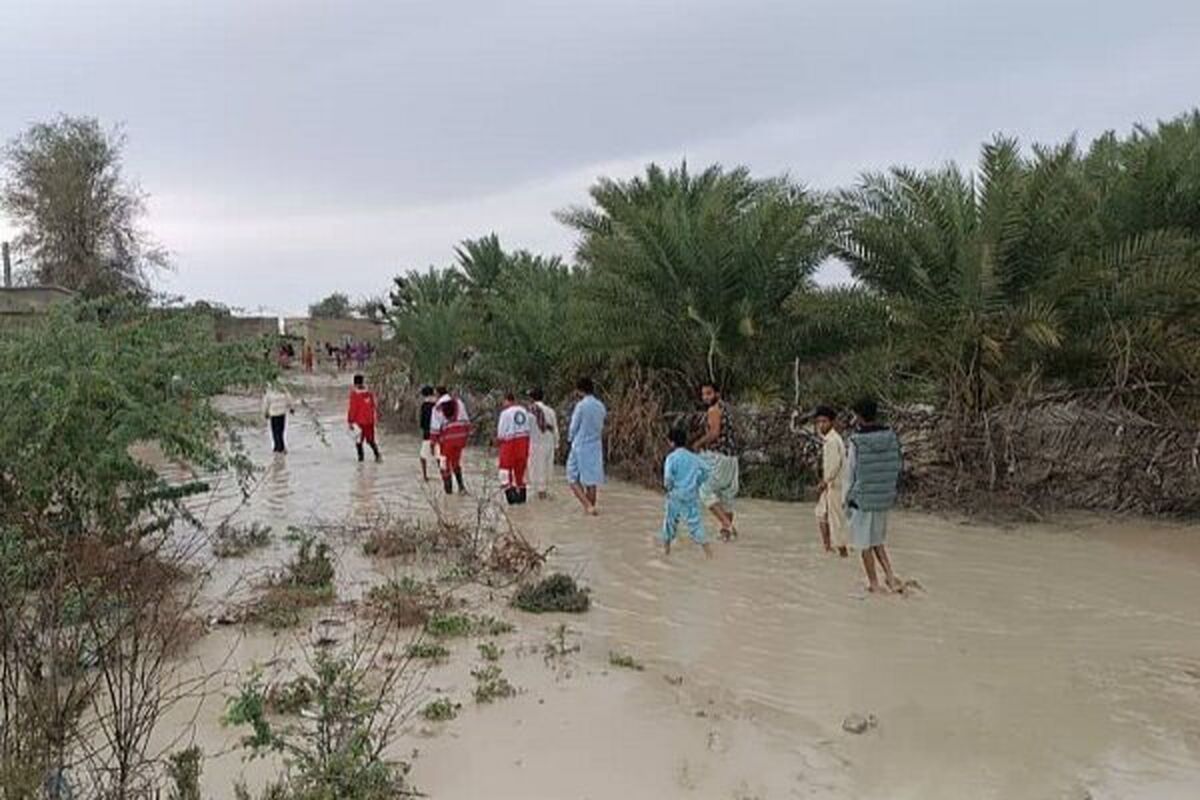 دامپزشکی