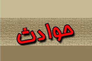 گازگرفتگی جان 3 نفر دیگر را در بجنورد گرفت