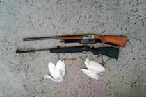 متخلفان شکار و صید در 3 شهر مازندران شناسایی و دستگیر شدند