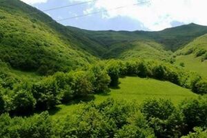 بیش از 100 دانش‌آموز و کودک رامسری با اهمیت منابع طبیعی آشنا شدند