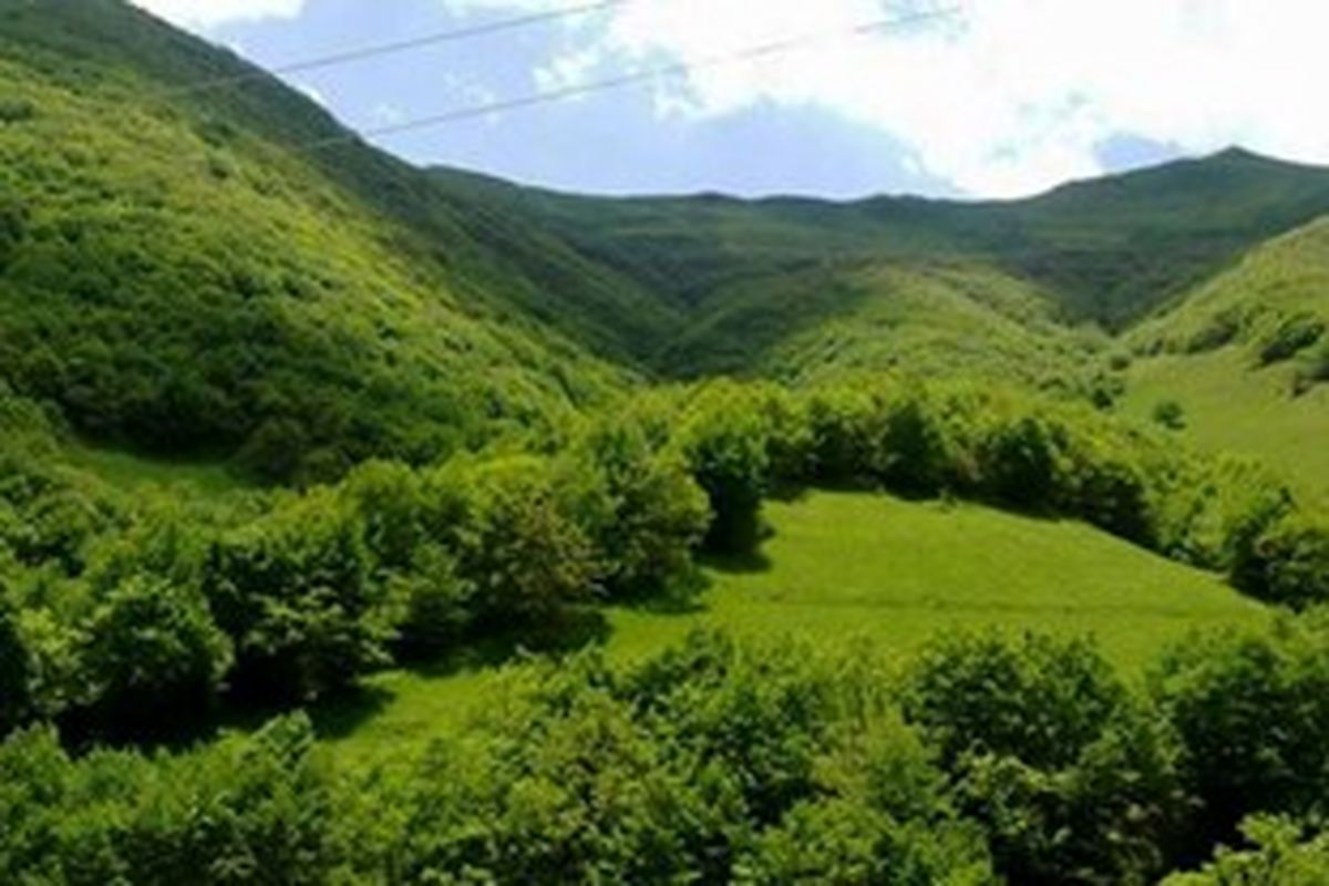 منابع طبیعی