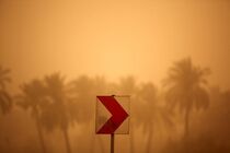 استقبال از ایده‌های نو در جهت حل مشکل ریزگردها