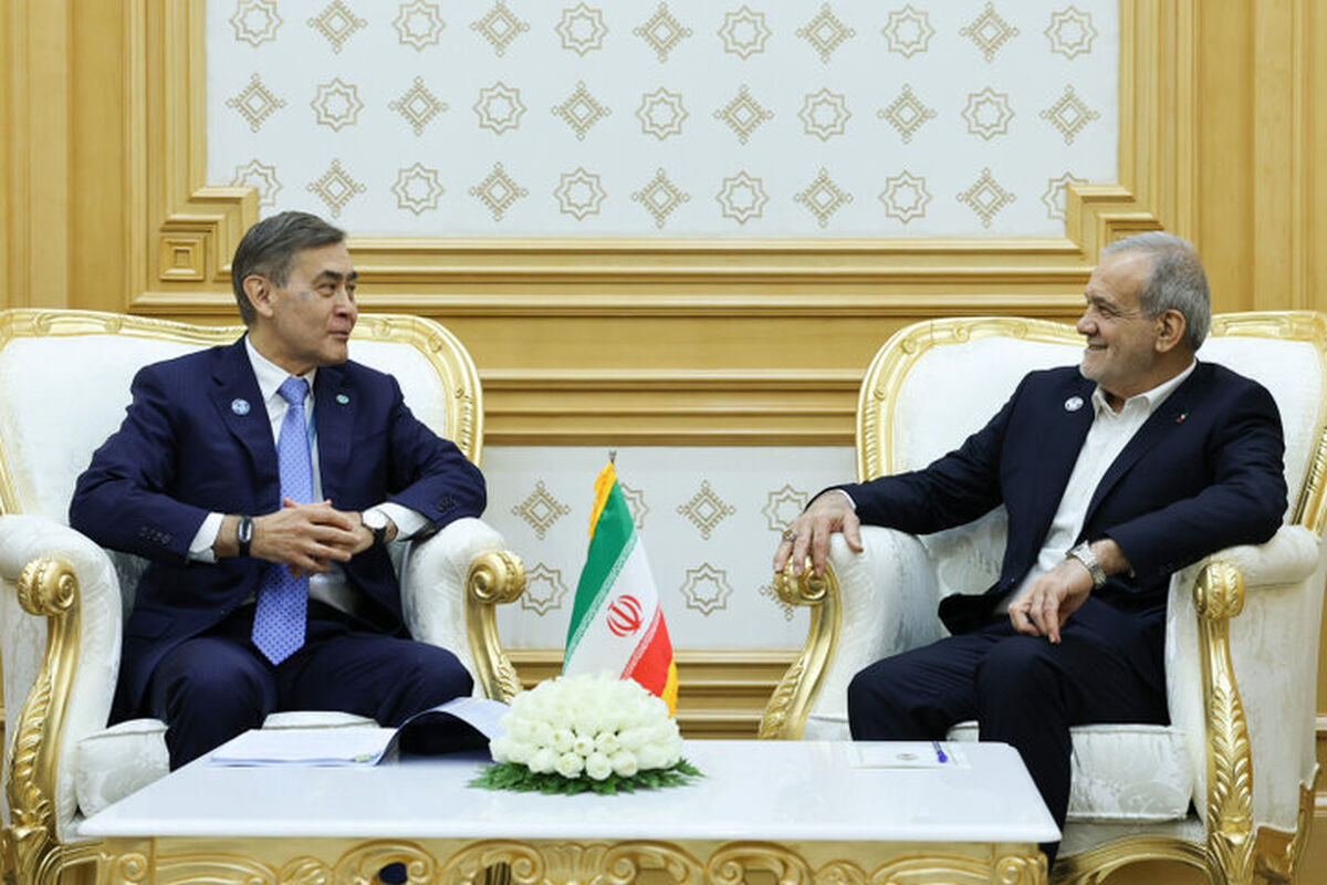 دبیرکل سازمان همکاری شانگهای با رئیس جمهور دیدار کرد
