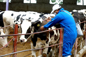 تاسیس مرکز تحقیقات بیماری‌های منتقله از دام و فراورده‌های دامی سازمان دامپزشکی