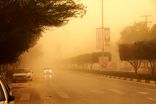 ایران و ازبکستان برای راه‌اندازی سیستم هشدار سریع شناسایی کانونهای گردوغبار گفتگو کردند