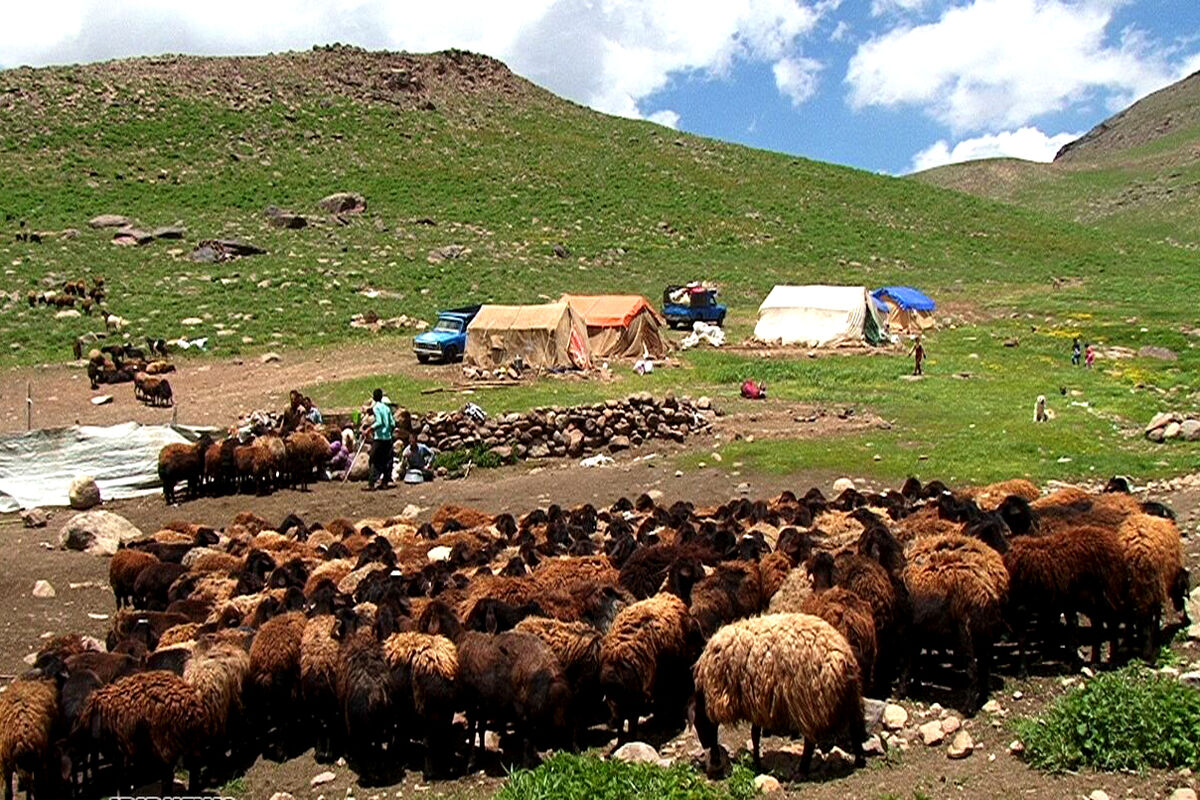 دامداران عشایری