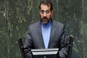 دولت برنامه لازم برای جلوگیری از واردات برنج در موعد عرضه داخلی داشته باشد