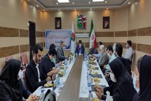 بیش از 11 هزار ناوگان حمل و نقل عمومی در ایلام فعالیت می کنند