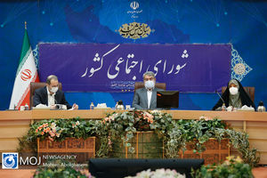 یکصد و سی و سومین جلسه شورای اجتماعی کشور