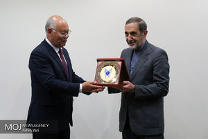 دیدار وزیر علوم افغانستان با علی اکبر ولایتی