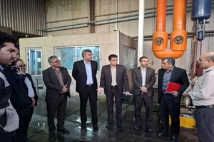 بازدید معاون کشوری امور دام از سردخانه ایلام