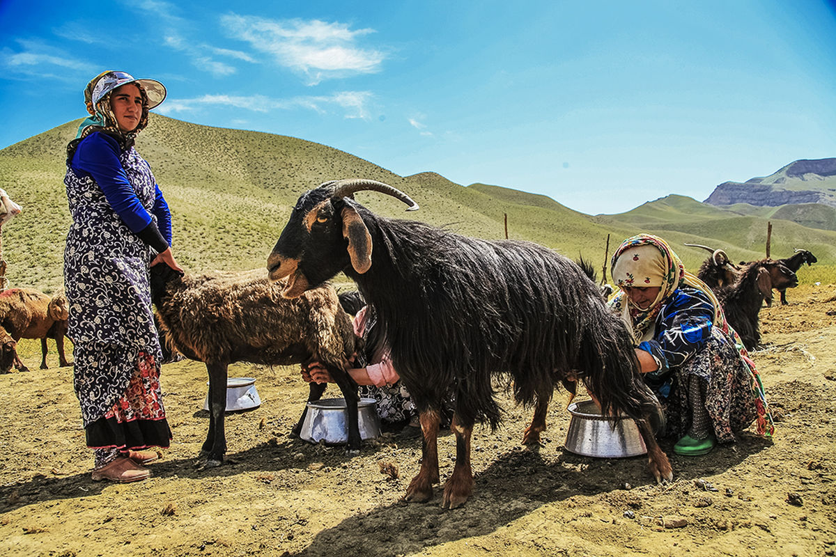 عشایر خراسان رضوی