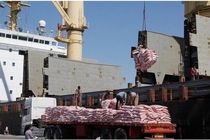 حمل بیش از ۵۰ هزار تن برنج بخش خصوصی از هرمزگان به سراسر کشور