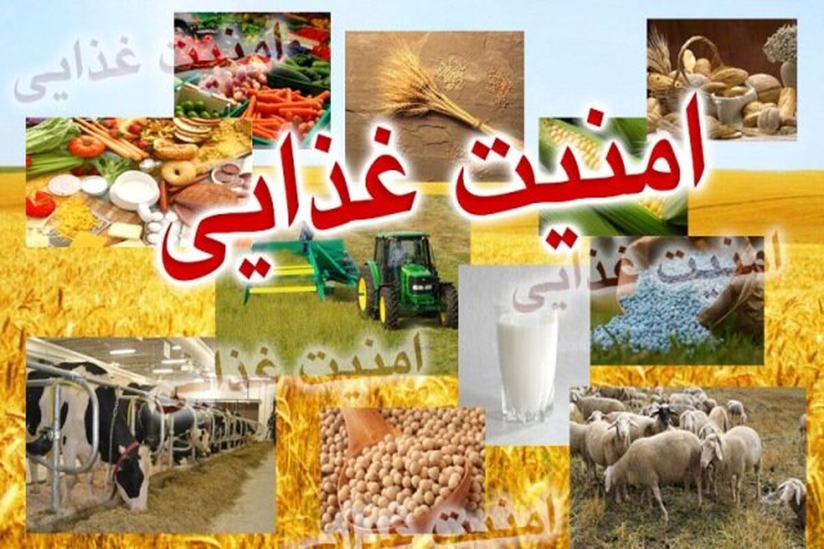 غذای سالم