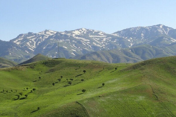  آماده باش کامل نیروهای گشت و مراقبت حفاظتی و جنگلبانان در تعطیلات نوروزی در سراسر کشور