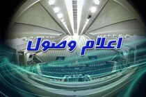 اعلام وصول ۱۳ طرح و سوال از وزیر بهداشت