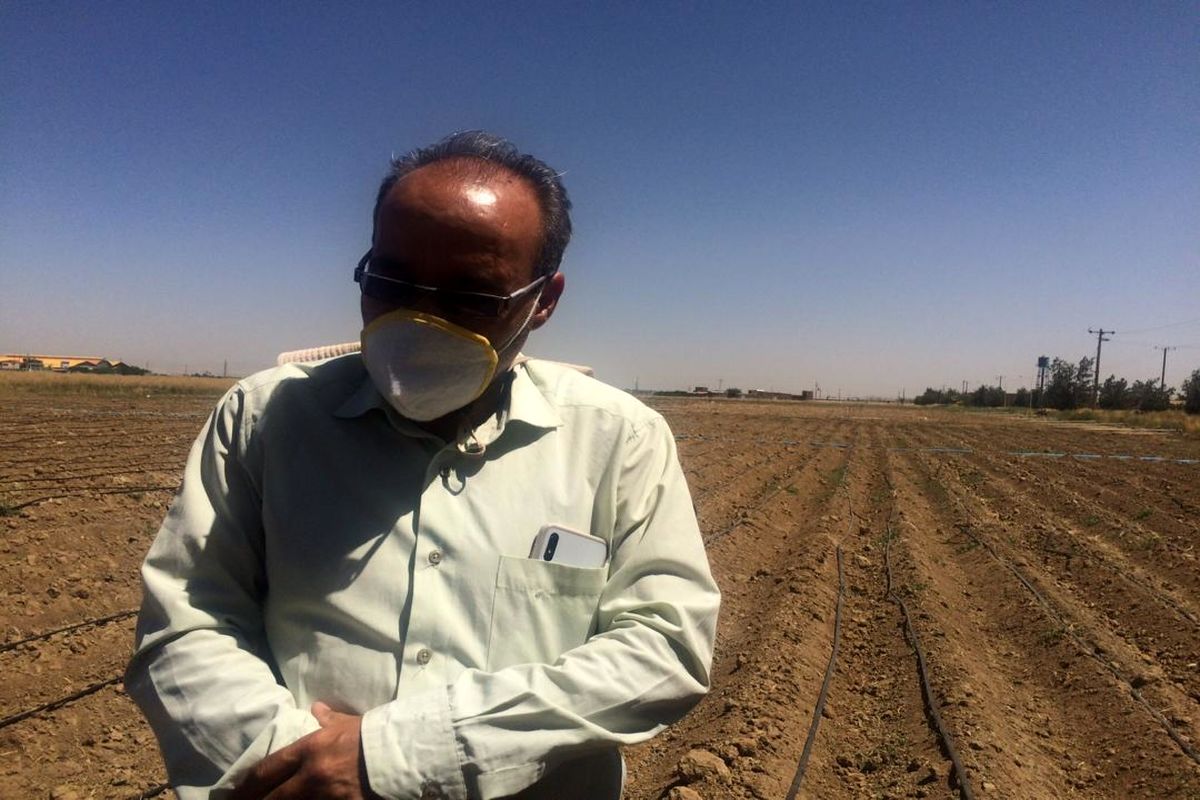 علیرضا سلیمی