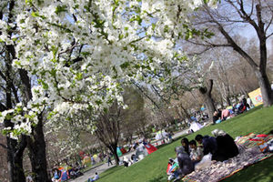 آمادگی سه هزار نیروی شهرداری قم در روز طبیعت