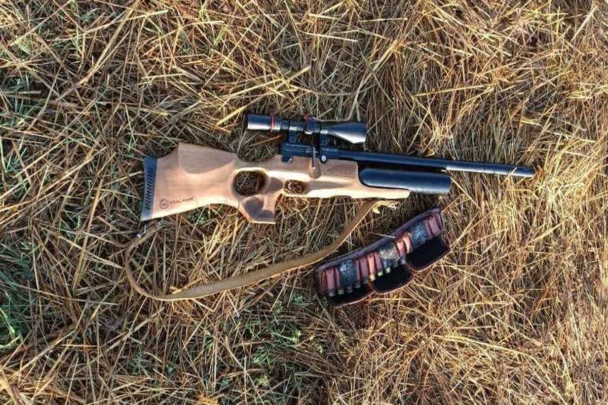 محیط زیست مازندران