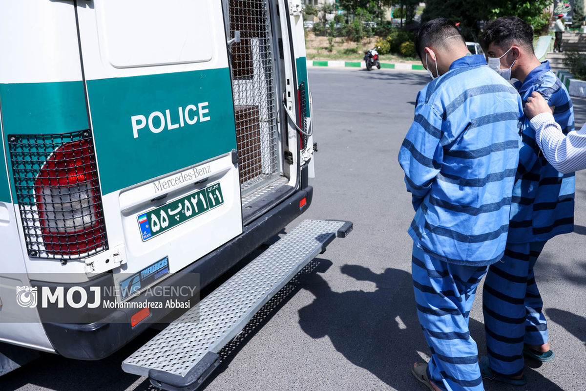 دستگیری سارقان معروف استاد معین