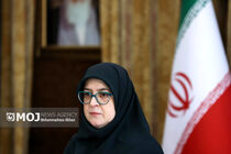 سخنگوی دولت شهادت سید حسن نصرالله را تسلیت گفت