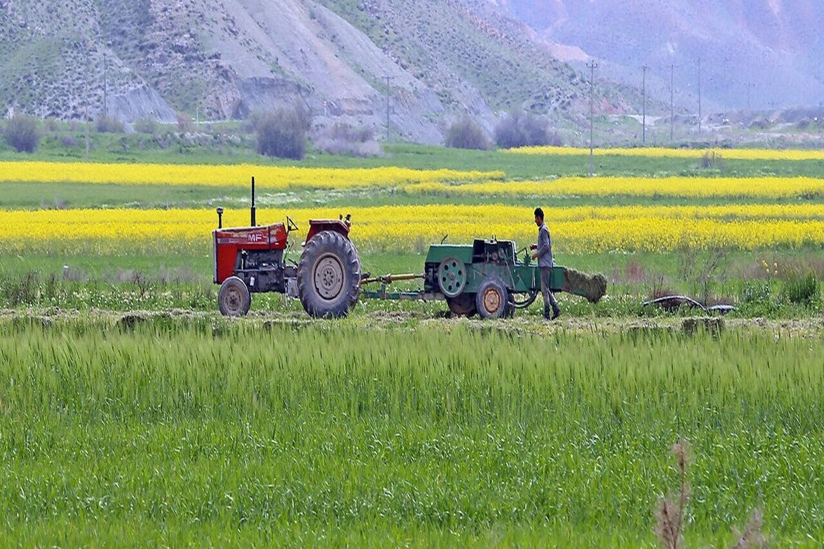 کشاورزی قم