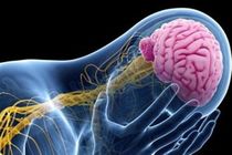 وجود ۶۵ هزار بیمار مبتلا به صرع در اصفهان/  ۱۵ هزار بیمار صرع مقاوم به درمان در اصفهان