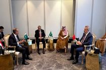 نشست چهارجانبه وزیران خارجه مصر، ترکیه، پاکستان و عربستان درباره تنگه هرمز