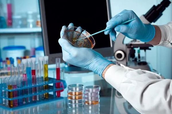 موانع پیشرفت محققین پژوهشگاه ژنتیک تسهیل شود