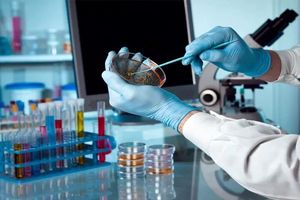 موانع پیشرفت محققین پژوهشگاه ژنتیک تسهیل شود