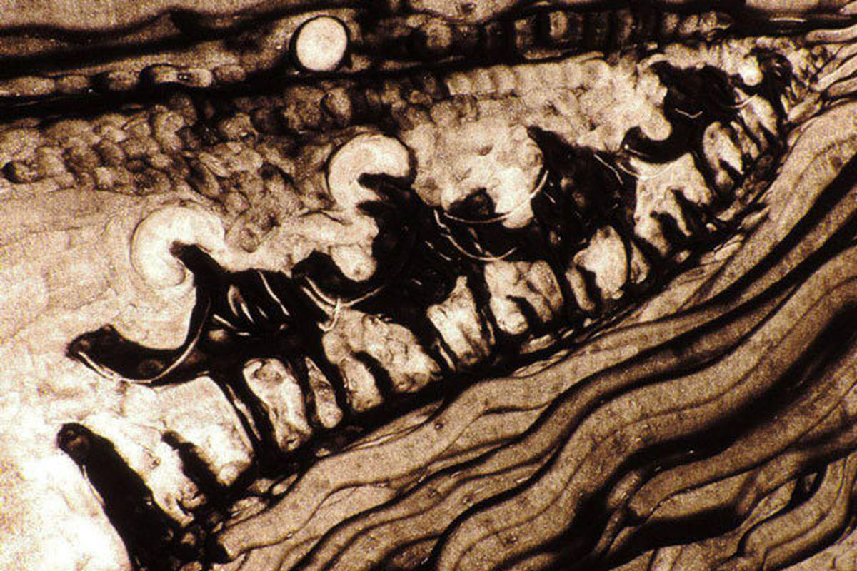 مستند غریبان