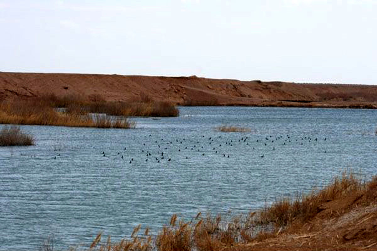 میکرو کلیمای 