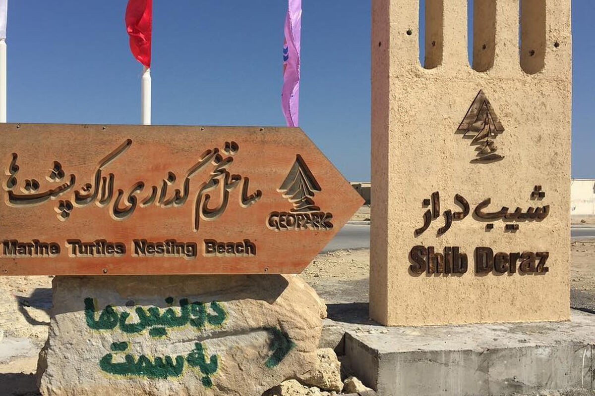 شیب دراز