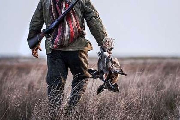 فرمانده یگان حفاظت محیط زیست خواستار اختصاص قضات خاص برای رسیدگی به جرایم محیط زیستی شد