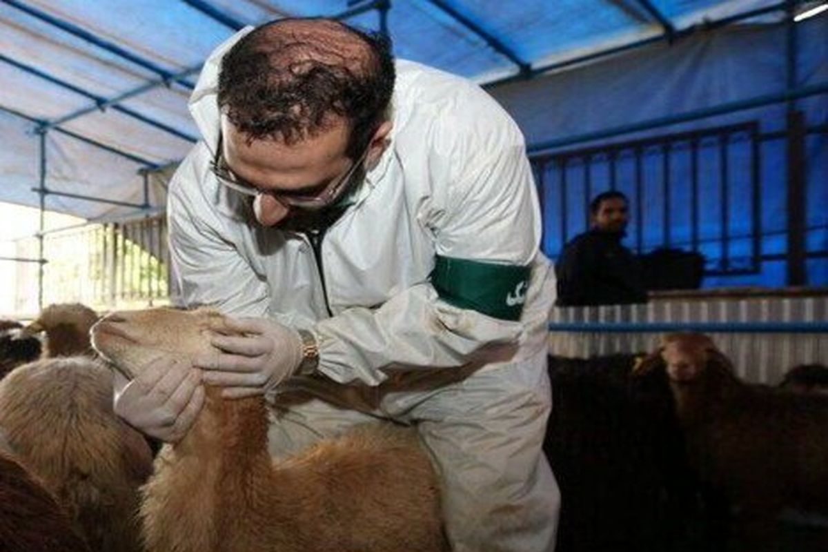 دامپزشکی استان مرکزی