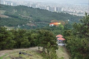  بوستان‌های شمال شرق پایتخت برای روز طبیعت آماده می‌شوند