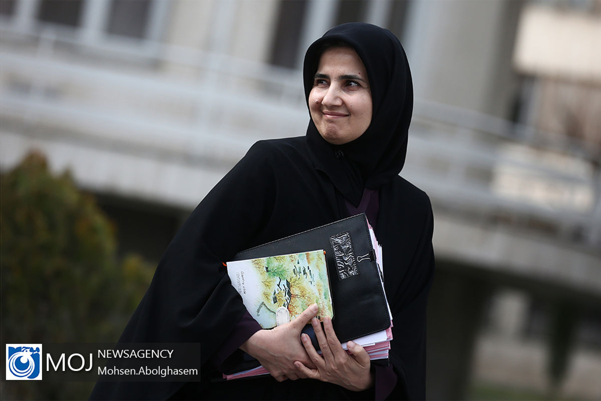 حاشیه جلسه هیات دولت - ۲ بهمن ۱۳۹۸/جنیدی