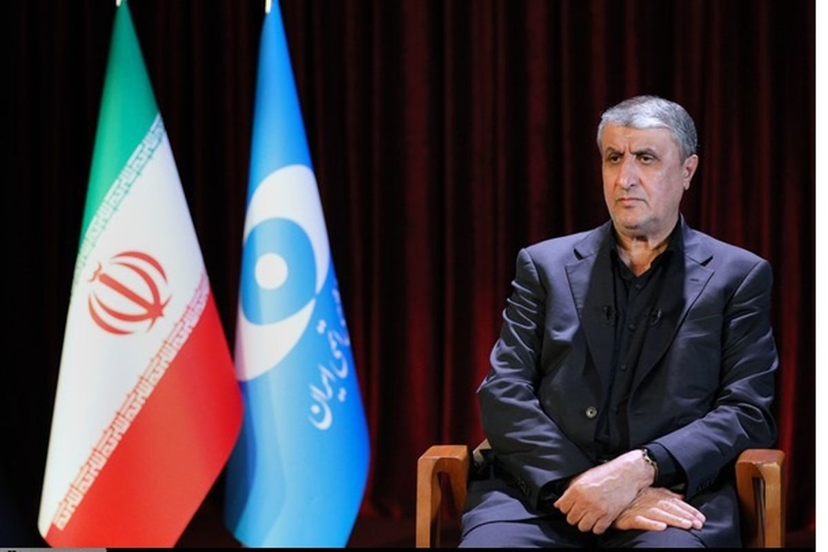 رئیس سازمان انرژی اتمی