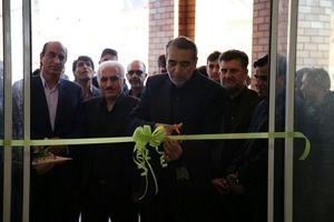 دانشگاه‌ها می‌توانند به ازای هر 25 دانشجو یک عضو هیات علمی جذب کنند