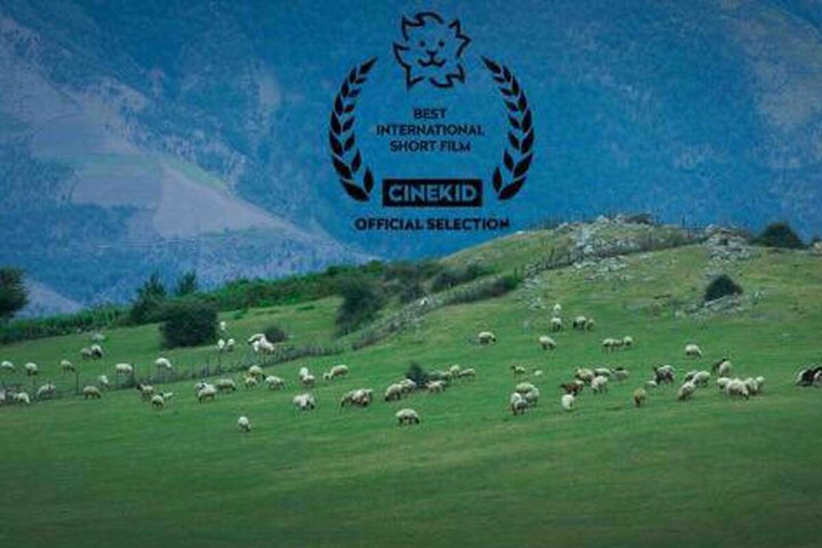 فیلم کوتاه گوسفند