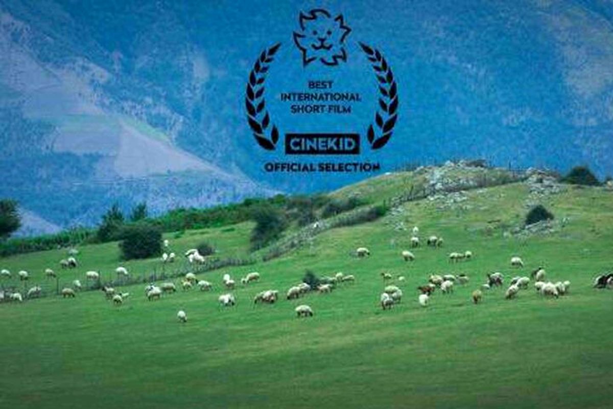 فیلم کوتاه گوسفند
