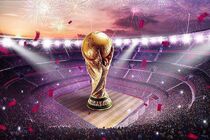 کوچکترین هوادار مراکشی در وزرشگاه +عکس