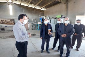 معتادان متجاهر از سطح شهر کرمانشاه جمع‌آوری می‌شوند / اختصاص ۵۰۰میلیون تومان به کمپ بهزیستی