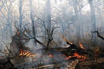 از آتش‌افروزی و رهاسازی زباله پرهیز کنید