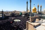 تشییع باشکوه آیت‌الله شبیری زنجانی در قم + فیلم