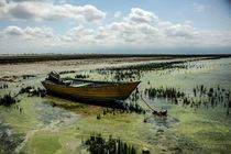 مشکل خلیج گرگان یک مسله فرا استانی و ملی است