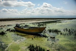 مشکل خلیج گرگان یک مسله فرا استانی و ملی است