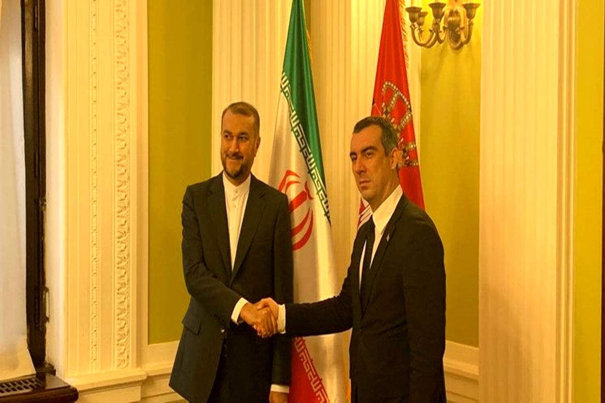 دیدار امیرعبداللهیان و رئیس پارلمان صربستان