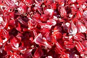 پیش بینی برداشت بیش از 100 کیلو چای ترش در آران و بیدگل