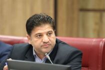 197 صنعتگر ایلامی بیمه تامین اجتماعی می‌شوند